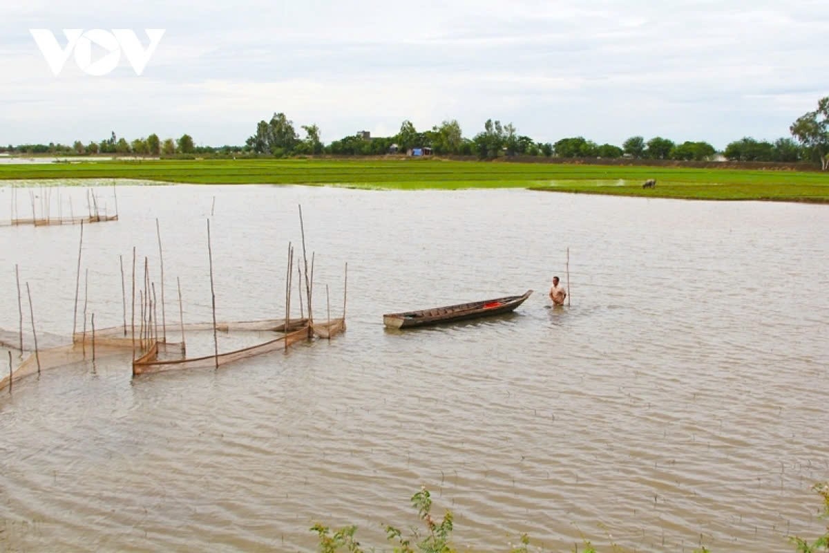 a trip to the mekong delta during the flood season picture 1 a trip to the mekong delta during the flood season picture 1