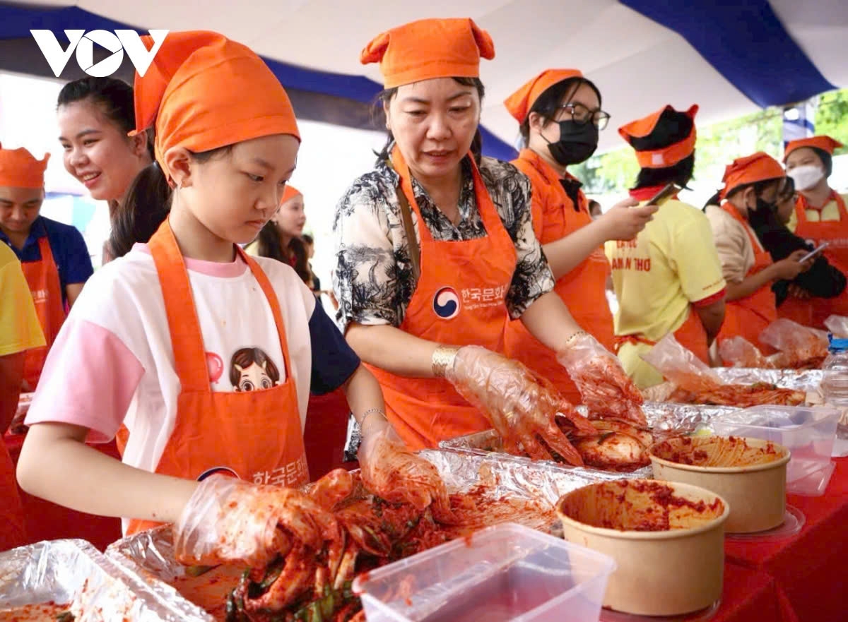 vietnam rok cultural day 2024 promotes close friendship picture 15 vietnam rok cultural day 2024 promotes close friendship picture 15