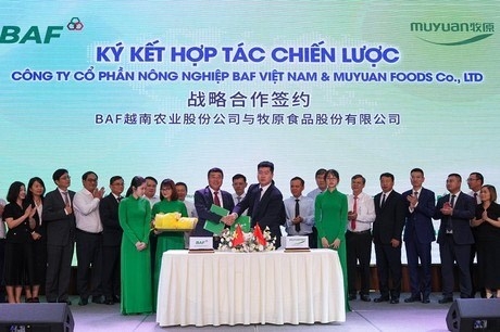 vietnamese and chinese firms co-operate in hi-tech livestock farming picture 1