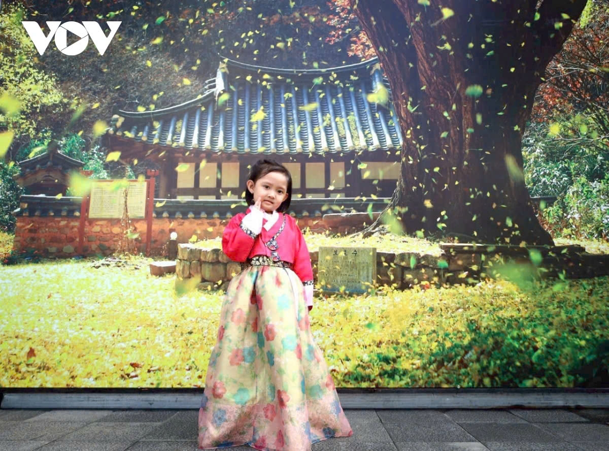 vietnam rok cultural day 2024 promotes close friendship picture 16 vietnam rok cultural day 2024 promotes close friendship picture 16