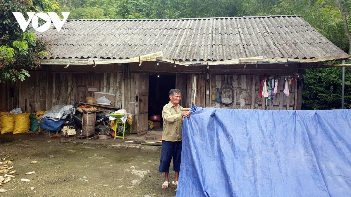 thu tuong chi dao day manh trien khai xoa nha tam, nha dot nat hinh anh 1