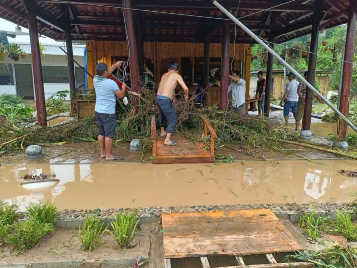 mua lon keo dai, hang tram hecta hoa mau tai binh thuan chim trong bien nuoc hinh anh 3