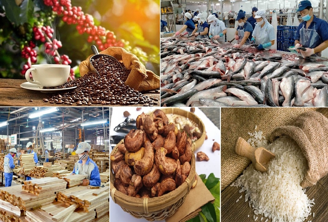 asia remains biggest export market for vietnamese agro-forestry-fishery products picture 1