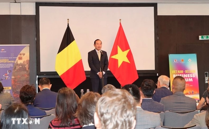 forum steps up economic cooperation between vietnam and belgium picture 1