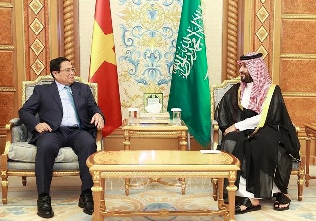 vietnamese pm holds talks with saudi arabian counterpart picture 1