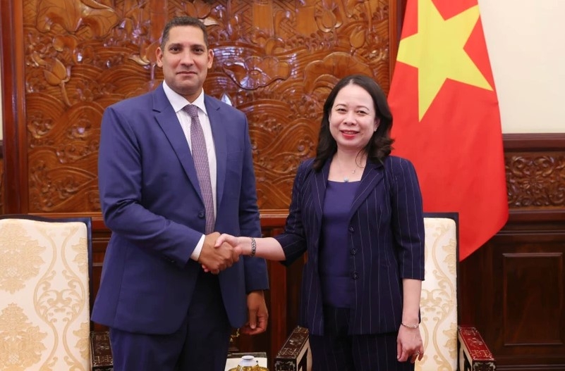 vice president calls on sweden to share development experience with vietnam picture 1