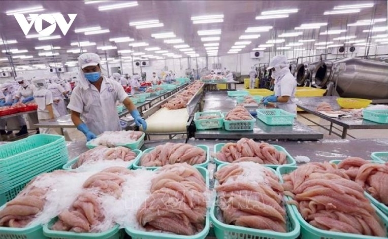 vietnam represents largest pangasius supplier to colombia picture 1