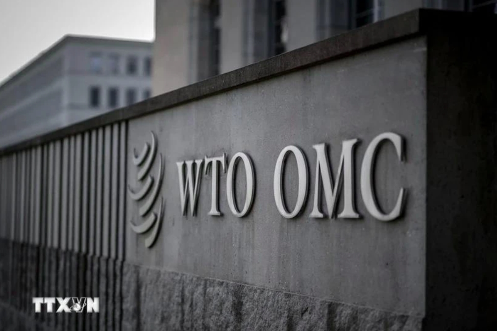 wto highlights vietnam s role in restructuring of global supply chains picture 1