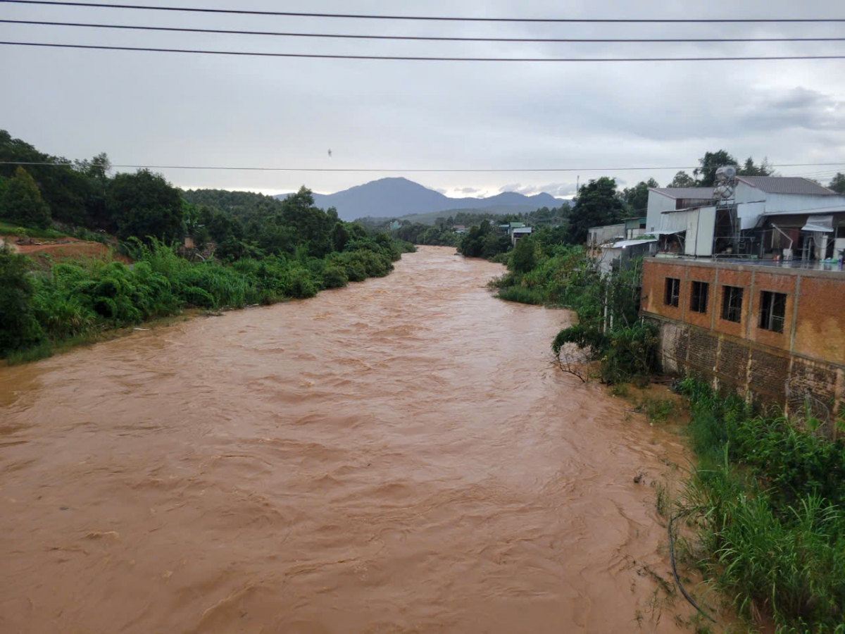 3 thanh niên rủ nhau bơi qua sông, 1 người bị nước lũ cuốn