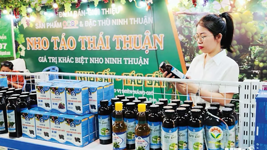 ninh thuan kinh nghiem thanh cong trong phat trien thuong mai dien tu hinh anh 1