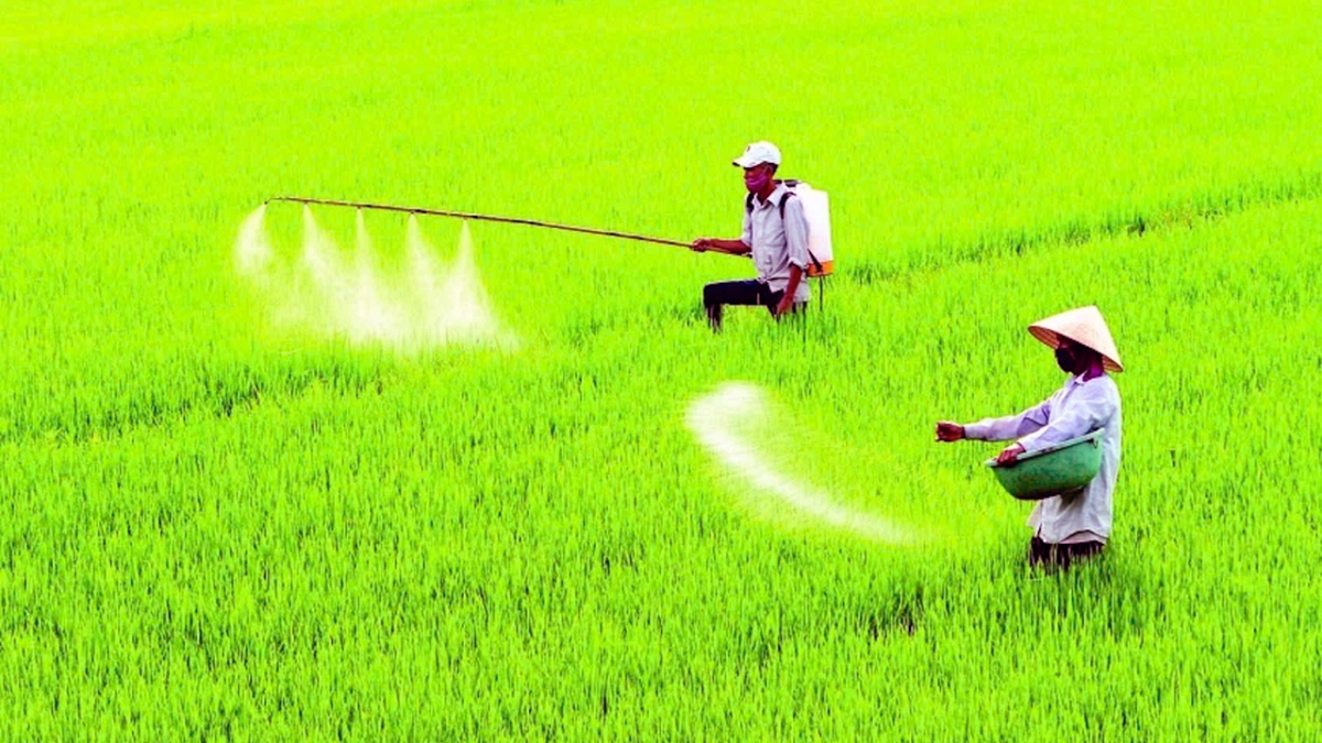 chuyên gia thuế đề xuất sửa Điều 15 trong dự án sửa đổi luật thuế gtgt hình ảnh 2 chuyen gia thue de xuat sua Dieu 15 trong du an sua doi luat thue gtgt hinh anh 2