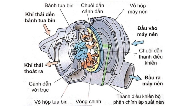 sai lam pho bien khi khoi dong xe buoi sang gay hai cho dong co xang va diesel hinh anh 4