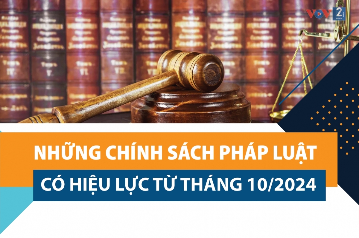 Những chính sách pháp luật có hiệu lực từ tháng 10/2024