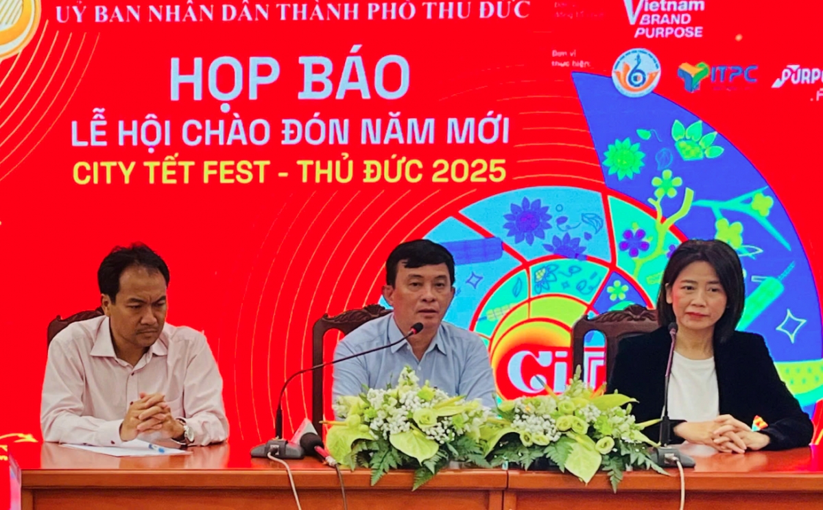 Ho Chi Minh City to ring in New Year with special festival