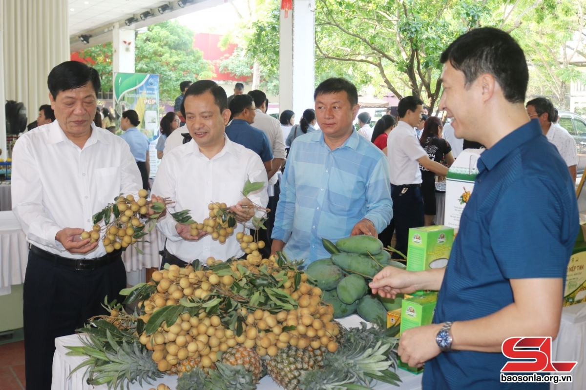 Day manh xuc tien thuong mai, tieu thu nong san hinh anh 3