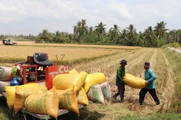 vietnam celebrates 44th world food day in hanoi picture 1