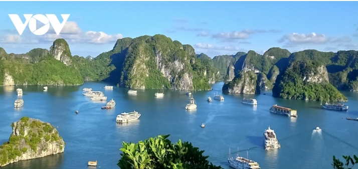 200 European billionaires to arrive Ha Long Bay