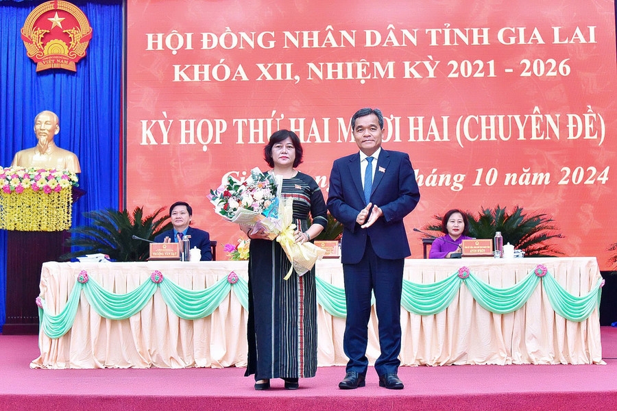 HĐND Gia Lai miễn nhiệm 2 thành viên UBND tỉnh, bầu bổ sung 1 trưởng ban