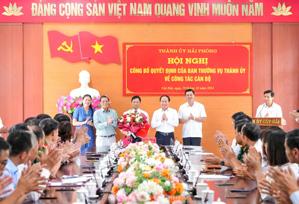 hai phong co bi thu huyen uy moi hinh anh 1