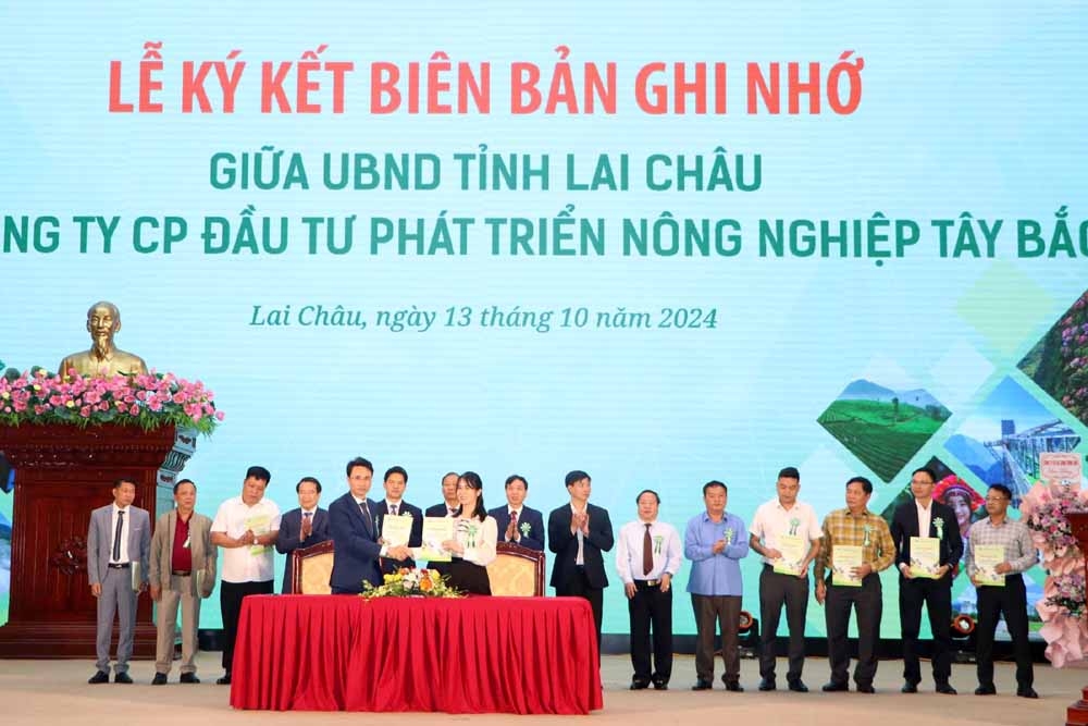 lai chau thu hut hon 2.000 ty dong tai hoi nghi xuc tien dau tu hinh anh 3
