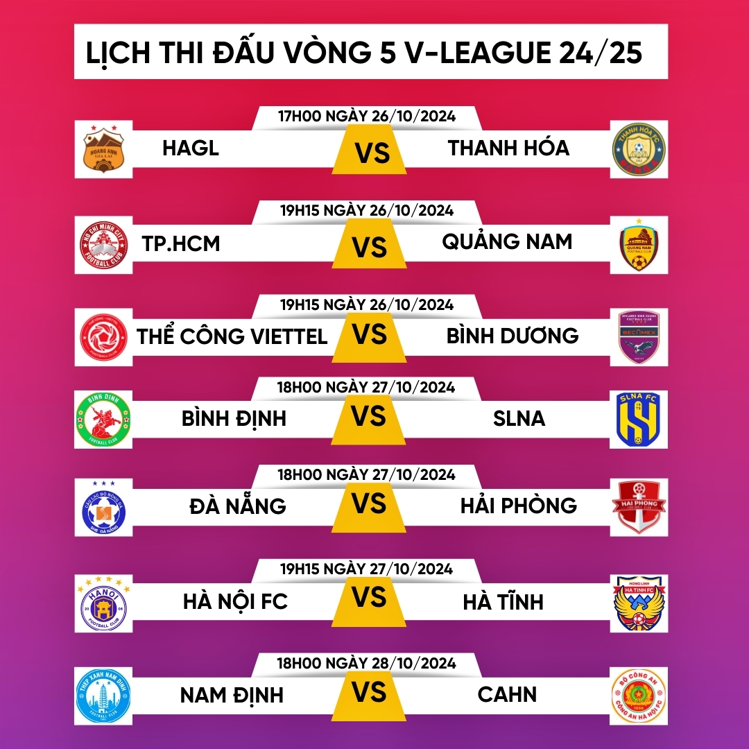 lich thi dau va truc tiep vong 5 v-league 2024 2025 hagl va nam Dinh gap kho hinh anh 1