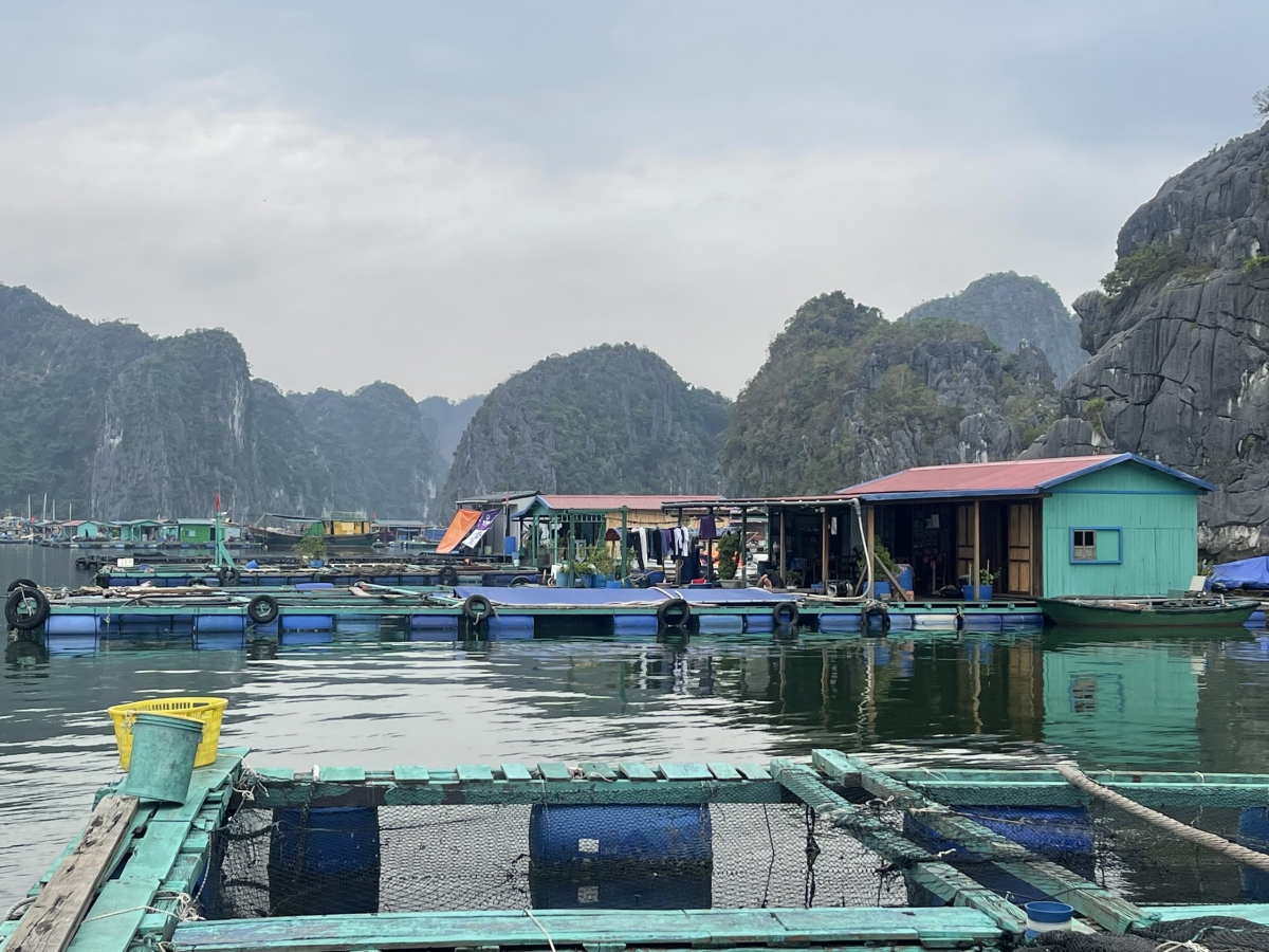 Hải Phòng hỗ trợ người dân phục hồi nuôi trồng thuỷ sản sau bão số 3