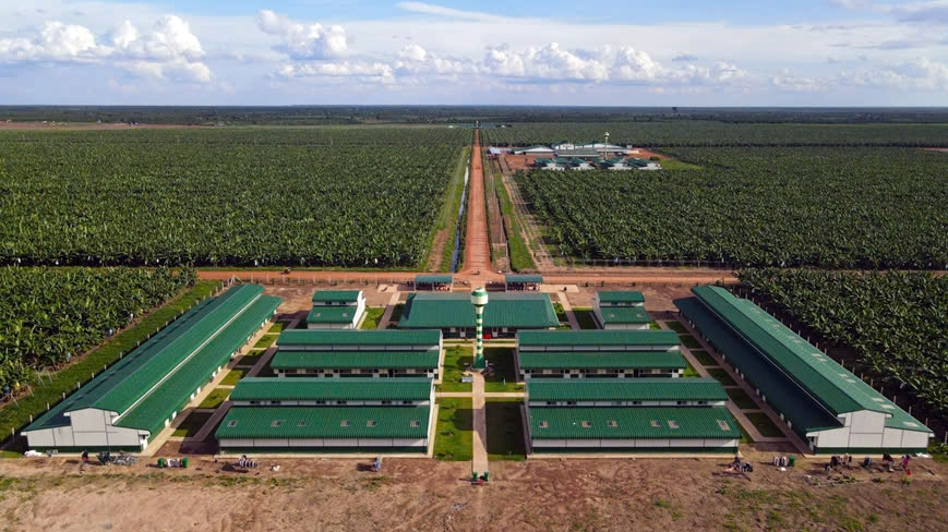thaco agri đẩy mạnh đầu tư và phát triển nhân sự hình ảnh 6 thaco agri day manh dau tu va phat trien nhan su hinh anh 6