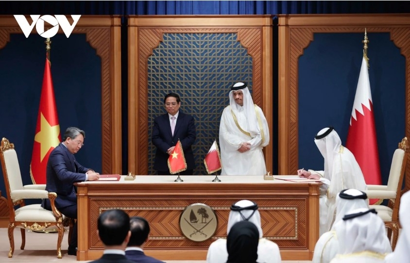 vietnamese, qatari pms consent to elevate bilateral ties to new heights picture 2