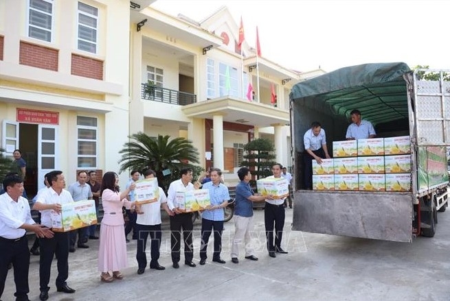 tuyen quang exports nearly 8,000 soi ha pomelos to uk picture 1