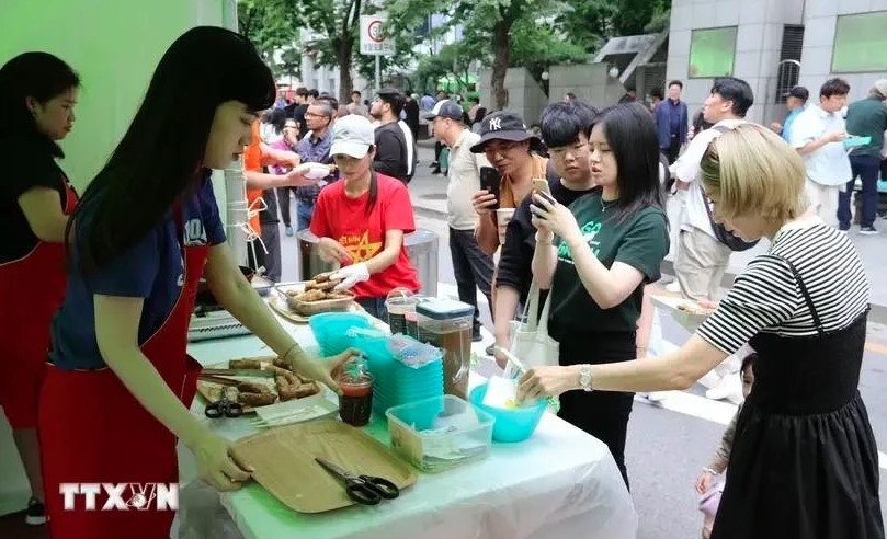 festival promotes vietnam-rok cultural exchange picture 1