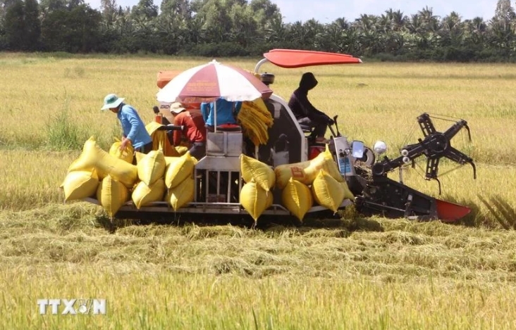 soc trang expands pilot of million hectare low-emission rice project picture 1