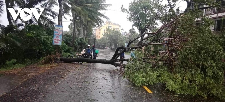 storm trami slams into central localities with heavy downpour picture 10