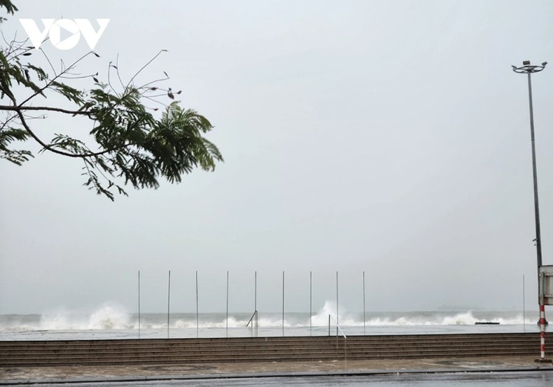 storm trami slams into central localities with heavy downpour picture 13