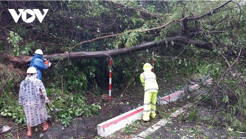 storm trami slams into central localities with heavy downpour picture 3