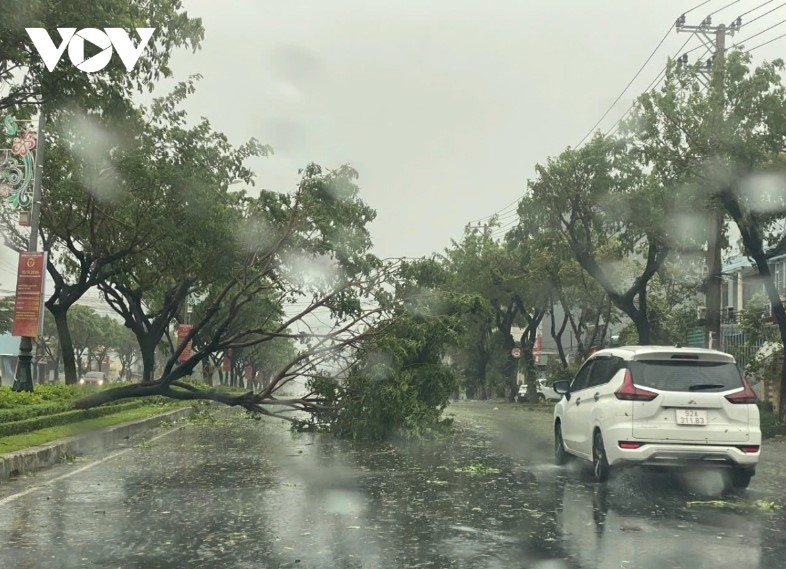 storm trami slams into central localities with heavy downpour picture 5