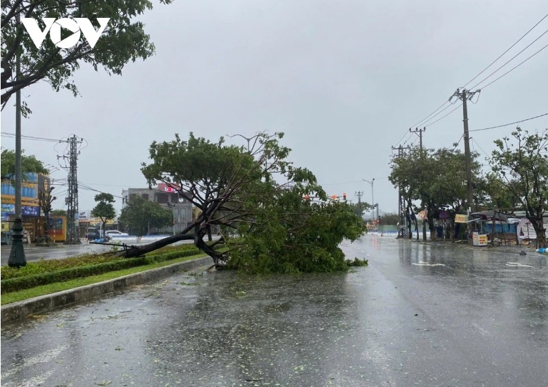 storm trami slams into central localities with heavy downpour picture 6