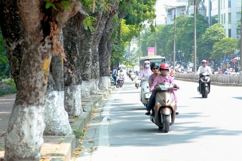 thoi tiet ngay 4 10 bac bo va thanh hoa ngay nang, dem va sang som se lanh hinh anh 1