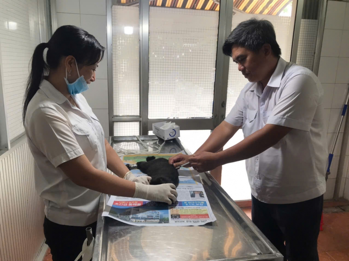 4 người tại Bến Tre tử vong do bệnh dại lây truyền từ động vật