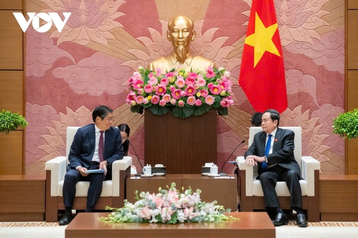 vietnam desires to realise new partnership framework with japan picture 1 vietnam desires to realise new partnership framework with japan picture 1