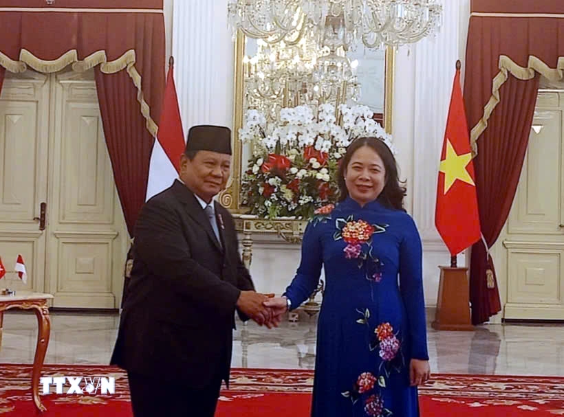 indonesia views vietnam as an important partner in region president prabowo picture 1