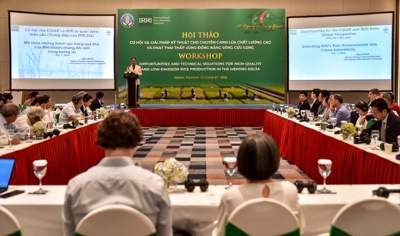 Mekong targets low-emission rice production with carbon credit initiative