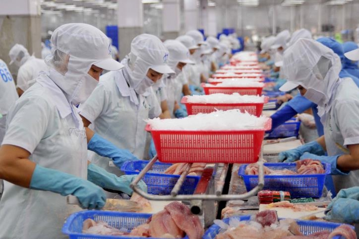 vietnamese pangasius becomes leading option for brazilian consumers picture 1