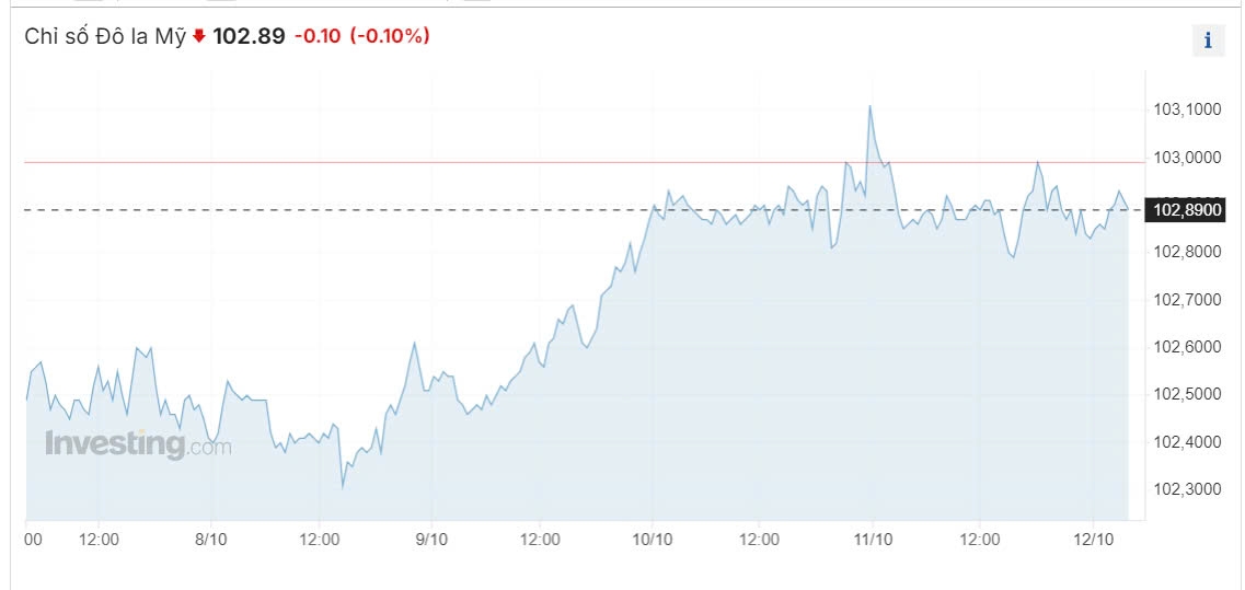 ty gia usd hom nay 14 10 ty gia trung tam mo cua dau tuan voi 24.161 dong usd hinh anh 3