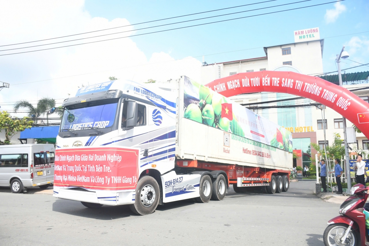 Lần đầu tiên Bến Tre xuất khẩu chính ngạch dừa tươi sang thị trường Trung Quốc