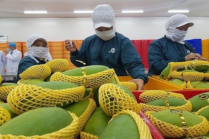 how to boost fruit and vegetable exports to china via official channels discussed picture 1