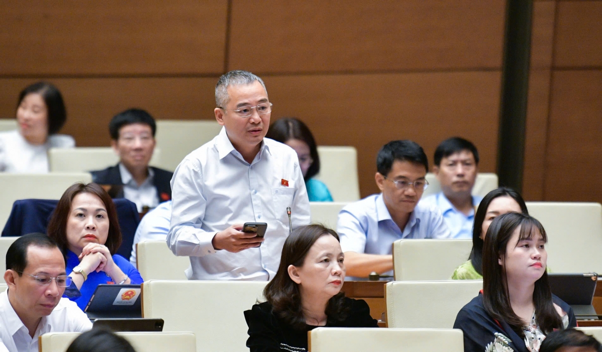 khoáng sản là miếng mồi ngon khiến nhiều người khai thác bất chấp hệ quả hình ảnh 4 khoang san la mieng moi ngon khien nhieu nguoi khai thac bat chap he qua hinh anh 4