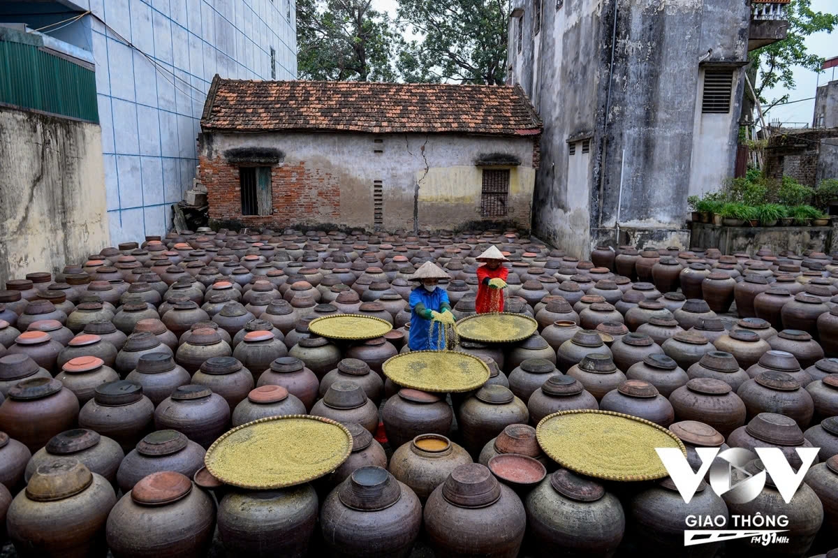 the making of fermented soybean paste in hung yen picture 1 the making of fermented soybean paste in hung yen picture 1