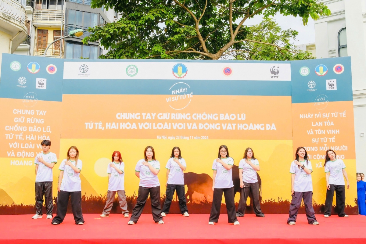 5.000 nguoi nhay flashmob lan toa thong diep bao ve rung va dong vat hoang da hinh anh 1