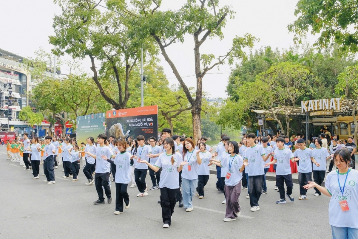 5.000 nguoi nhay flashmob lan toa thong diep bao ve rung va dong vat hoang da hinh anh 4