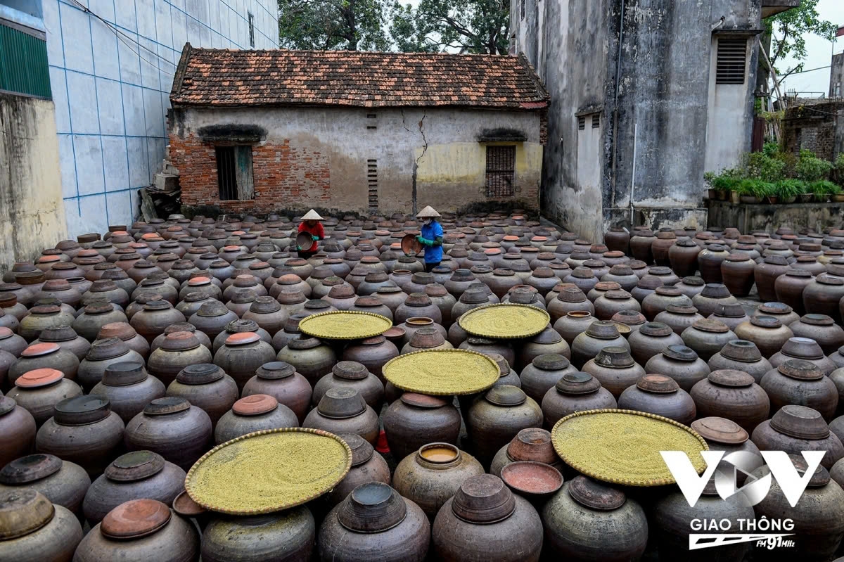 The making of fermented soybean paste in Hung Yen